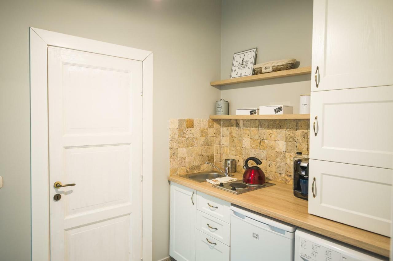 Chic Apartment In Historical City Center 蒂米什瓦拉 外观 照片